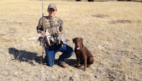 Goose dog training