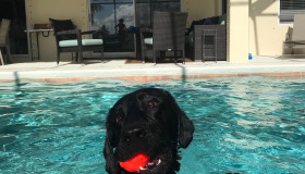 johnny-cash-in-pool