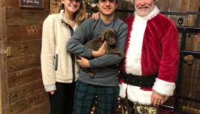 Merry Christmas Bailiwick Style
