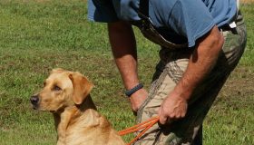 DSC02302_edited-1-1-scaled