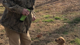 thor-in-training-two