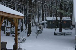 Labrador Retriever Kennels