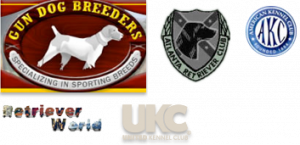 Registered Labrador Retriever Puppies near Ranger, Cartersville, Adairsville, Atlanta, Marietta, Chattanooga, and Calhoun Georgia. The Kennels at Bailiwick is a Championship Dog Breeding facility for Black and Yellow Fowl Hunting. Championship bloodline for breeding the best hunting dogs and companions.