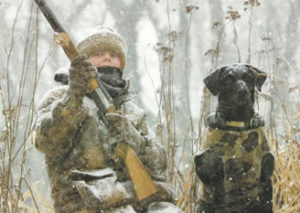 Gun dog breeders: Labradors