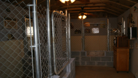 Bailiwick Retreiver Labrador Kennels