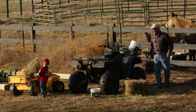 Max helping Paw Paw feed Dusty.