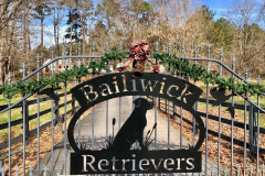 bailiwick-gate