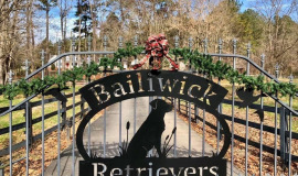 bailiwick-gate-Copy