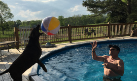 rally-playing-beach-ball