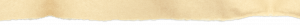 Registered Labrador Retriever Puppies near Ranger, Cartersville, Adairsville, Atlanta, Marietta, Chattanooga, and Calhoun Georgia. The Kennels at Bailiwick is a Championship Dog Breeding facility for Black and Yellow Fowl Hunting. Championship bloodline for breeding the best hunting dogs and companions.