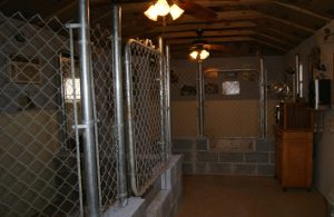 Bailiwick Retriever's Labrador Kennels